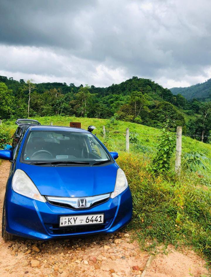 Access road to Forest Shade